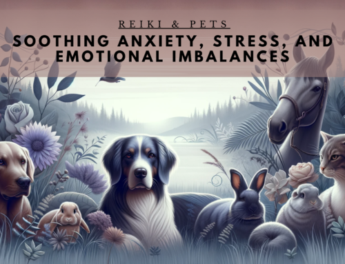 Reiki and Pets: Soothing Anxiety, Stress, and Emotional Imbalances